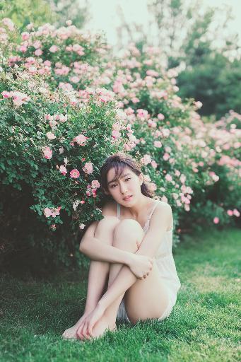 反诈猎蜂者电视剧免费播放高清